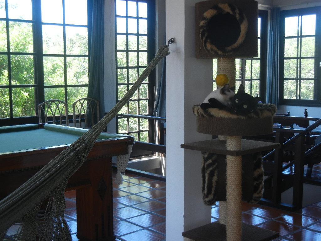 The Cats' House Hotel ฟลอเรียนอโปลิส ภายนอก รูปภาพ