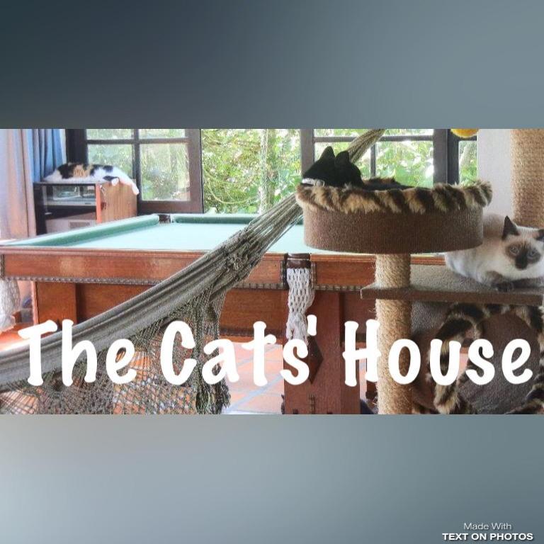 The Cats' House Hotel ฟลอเรียนอโปลิส ภายนอก รูปภาพ