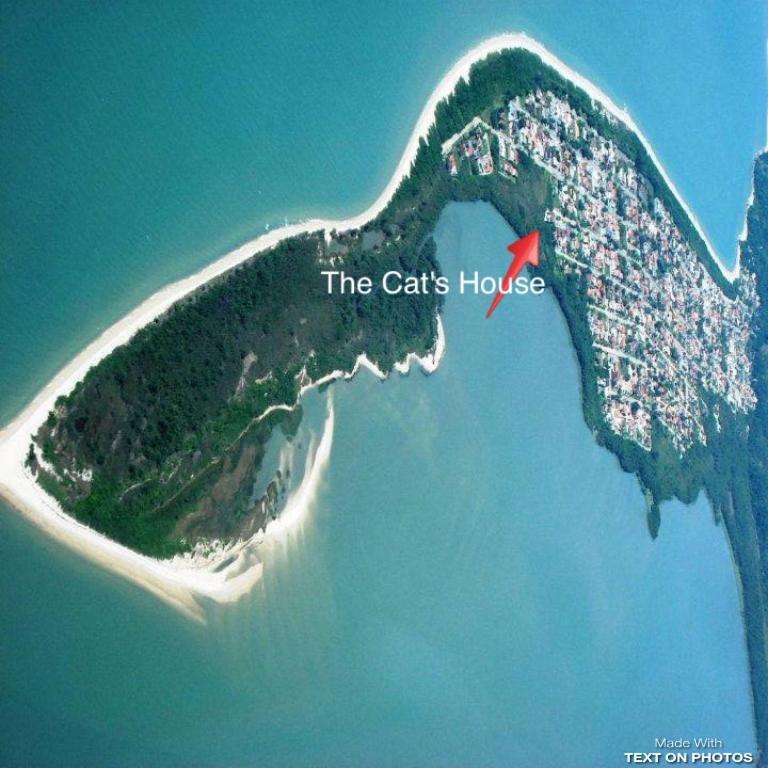 The Cats' House Hotel ฟลอเรียนอโปลิส ภายนอก รูปภาพ